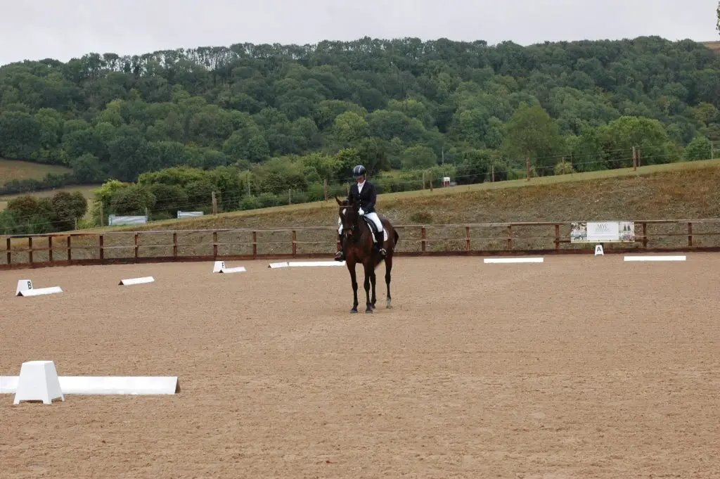 dressage2