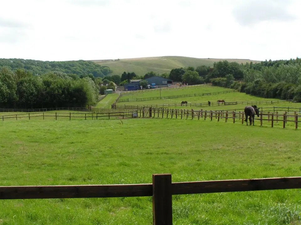paddocks