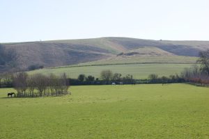 top field